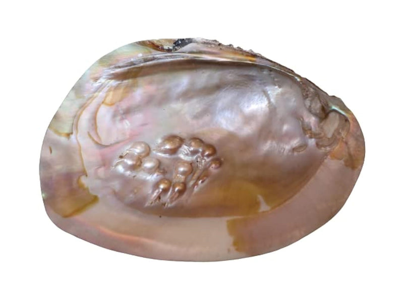 What is Mother of Pearl?